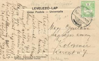 Szilágysomlyó, Városi szálloda, Schwarz E. és társa kiadása / hotel