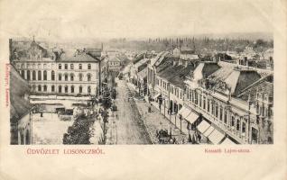 Losoncz mit Synagoge