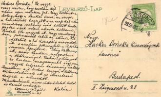 Losonc, Rákóczi utca / street