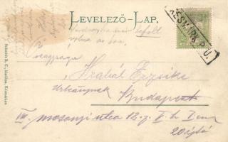 Késmárk, Thököly-vár / castle, floral (fl)