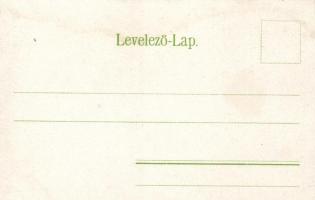 Trencsénteplic, térkép; Wertheim Zsigmond kiadása / map, litho