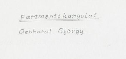 cca 1960-1970 Gebhardt György (1910-1993): Balaton, partmenti hangulat, feliratozott vintage fotóműv...