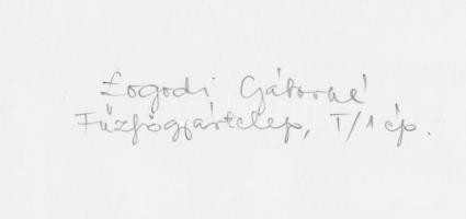 cca 1970-1975 Logodi Gáborné: Fehér paripa, feliratozott vintage fotóművészeti alkotás, 17x23 cm