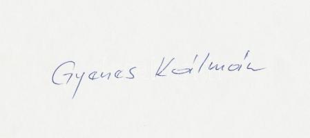 cca 1970-1975 Gyenes Kálmán: Ludas Manyi, feliratozott vintage fotóművészeti alkotás, 15x24 cm