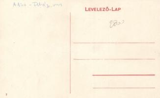 Gyulafehérvár, Piac tér, Hungária szálloda, Weisz Adolf és Jakabffy Albert üzlete / market, square, ...