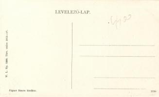 Nagykároly, Széchenyi utca, Weiszman Jakab drogéria, óra és ékszer üzlet, Eigner Simon kiadása / str...