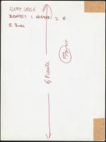 cca 1970-1975 Alapfy László: Buda, feliratozott vintage fotóművészeti alkotás, két sarka megerősítve...