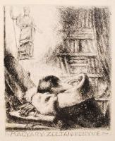 Grünwald Béla: A régi Magyarország 1711-1825.
Bp., 1910. Franklin. XIV., 576 p.  Félvászon kötésben