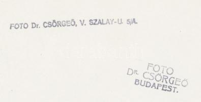 cca 1930-1940 Dr. Csörgeő Tibor (1896-1968): Budapest, Margit híd, pecséttel jelzett vintage fotóműv...