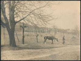 1930 Dr. Kovács Emil: Nemesbükk felé, jelzetlen vintage fotó a szerző hagyatékából, 18x24 cm