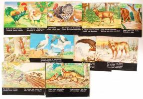 1963 A Boci, cica, kiscsikó c. diafilm eredeti, komplett, fényképezett és montázsolt kockái, a gyárt...