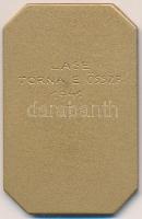 1941. "M. Kir. Honvéd Ludovika Akadémia" aranyozott, szögletes Al plakett (50mmx32mm) T:2