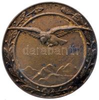 ~1915. "Távbecslő kitüntetés" ügyességi jelvény korai vastagabb típusa (34.35g/46.2mm) T:2,2- Hungary ~1915. "Observer decoration" military badge, early type (34.35g/46.2mm) C:aXF Sallay: 2.