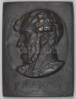 Kisfaludy Stróbl Zsigmond (1884-1975) 1938. "Gróf Széchenyi István" nagyméretű bronz egyoldalas plakett (210x160mm) T:2 Hungary 1938. "István Széchenyi" commemorative bronz uniface plaque. Sign: Zsigmond Kisfaludy Stróbl (210x160mm) C:XF HPII-1369