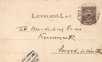 Oravica, Utcakép; kiadja Huszarek Árpád / street scene