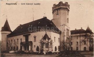 Nagykároly, Gróf Károlyi-kastély / castle