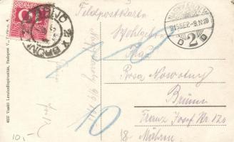 Nagykároly, Gróf Károlyi-kastély / castle