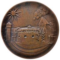 Csúcs Ferenc (1905-1999) 1969. "Budapesti Éremgyűjtők Egyesülete" negyméretű Br mintadarab (119mm/466g) T:2 R! Hungary 1969. "Budapest Organization of the Hungarian Coin Collectors" large commemorative bronze probe medallion. Sign: Feren Csúcs (119mm/466g) C:XF R! Adamo BP1.var