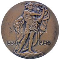 Reményi József (1887-1977) 1934. "A M. Kir. Operaház 50 Éves Fennállásának Emlékére" Br emlékérem (70mm) T:1-,2 1934. 50th Anniversary of the foundation of the Hungarian Royal Opera House Br medallion (70mm) sign.: József Reményi C:AU,XF HPII 2249.