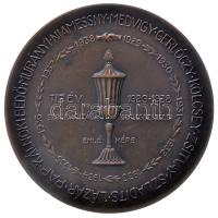 Garam Sándor (1882-1944) 1937. "Ribáry Csoport - Az ügyvédi szolidaritás jegyében" bronz emlékérem (80mm/161g) T:2- Hungary 1937. "Ribáry Attorney Group" commemorative bronze medallion. Sign: Sándor Garam (80mm/161g) C:VF HPII-1019.