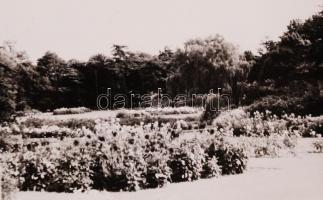 cca 1960 kb 70 darabos érdekes fotósorozat nyugat-európai utazásról. Sok jó minőségű felvétellel, al...