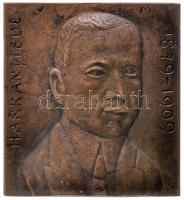 Vedres Márk (1870-1961) ~1910. "Harkányi Ede - 1879-1909" bronz emlékérem (57x52mm/123.1g) T:2,2- Hungary ~1910. "Ede Harkányi" commemorative bronze medallion. Sign: Markus Vedres (57x52mm/123.1g) C:aXF HP-6399.