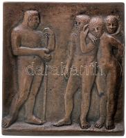 Vedres Márk (1870-1961) ~1910. "Harkányi Ede - 1879-1909" bronz emlékérem (57x52mm/123.1g)...