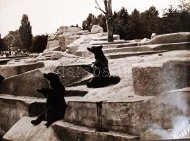 cca 1960 Lengyelországi utazás kb 110 darabos érdekes fotósorozat albumban, feliratozva / cca 1960 1...