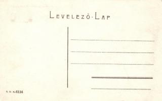 Serbische Grenze mit Donaumonitor / K.u.K. monitor ship on the river Danube by Orsova