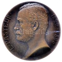 Franciaország / Párizs 1930. "Első Nemzetközi Mikrobiológiai Kongresszus - Louis Pasteur" bronz emlékérem eredeti adományozói dísztokban. Szign.: Georges Prudhomme (27mm/10g) T:1- France / Paris 1930. "First International Congress of Microbiology - Louis Pasteur" commemorative bronze medallion in original box. Sign: Georges Prudhomme (27mm/10g) C:AU
