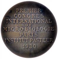 Franciaország / Párizs 1930. "Első Nemzetközi Mikrobiológiai Kongresszus - Louis Pasteur" ...
