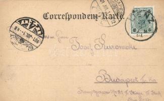 Bad Jungbrunn, floral