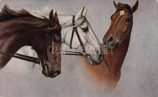 Three horses, T.S.N. Serie 1573