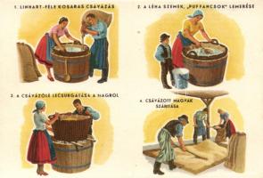 Magyar mezőgazdasági propaganda, gabona csávázás, Klösz / Hungarian agricultural propaganda, seed treatment, Klösz