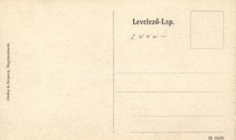 Nagybecskerek, Pénzügyi palota; Almásy és Szepessy kiadása / palace of finance