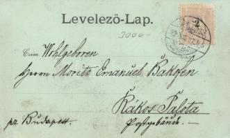 1899 Baja, Báró Eötvös utca, Dávid Jakab szabóüzlete; kiadja ifj. Wagner Antal (EK)