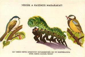 Magyar mezőgazdasági propaganda, madarak védelme, Klösz, szignózott / Hungarian agricultural propaganda, protecting birds, Klösz, artist signed (EK)