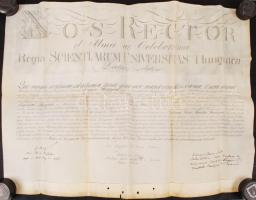 1842 Pest, Magyar Királyi Tudományos Egyetem által kiállított latin nyelvű teológiai diploma, függőpecsétje hiányzik