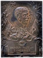 Ifj. Vastagh György (1868-1946) 1909. "Dr. Mikó Imre - Gr. Kemény József / Erdélyi Múzeum Egyesület 1859-1909" Br plakett (60x44mm) T:2 Hungary 1909. "Dr. Imre Mikó - Gr. József Kemény / Transylvanian Museum Society 1859-1909" Br plaque (60x44mm) Sign.: György Vastagh C:XF HP 6369.