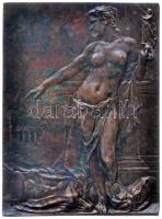 Ifj. Vastagh György (1868-1946) 1909. "Dr. Mikó Imre - Gr. Kemény József / Erdélyi Múzeum Egyes...