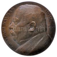 Murányi Gyula (1881-1920) 1910. "Mikszáth Kálmán" bronz egyoldalas emlékérem (40mm/34.4g) T:2 Hungary 1910. "Kálmán Mikszáth" commemorative bronze uniface medallion. Sign: Gyula Murányi (40mm/34.4g) C:XF HP-3693.