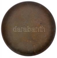 Murányi Gyula (1881-1920) 1910. "Mikszáth Kálmán" bronz egyoldalas emlékérem (40mm/34.4g) ...