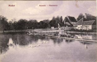 Modor