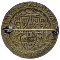 Osztrák-Magyar Monarchia ~1915-1917. "10. Lovashadosztály" réz sapkajelvény (38mm) T:1
Aus...