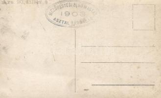 1903 Mezőhegy, Nemzetközi ekeverseny, 'Kőszegi motor' Bajáról, photo