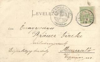 Taszár, Somogy-Taszár, Vándor cigányzenekar, photo