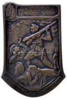Osztrák-Magyar Monarchia 1915-1916. "A Székesfehérvári 17. Honvéd Gyalog Ezred - Doberdói harcainak emlékére" réz sapkajelvény (52x36mm) T:2- Austro-Hungarian Monarchy 1915-1916. "17th Székesfehérvár Honved Infantry Regiment" copper cap badge (52x36mm) C:VF