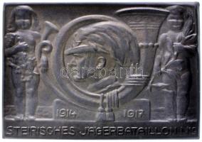 Osztrák-Magyar Monarchia 1914-1917. "9. Stájer Vadász Zászlóalj" hadifém sapkajelvény hátoldalon "BRÜDER SCHNEIDER WIEN" gyártói jelzéssel (31x38mm) T:1 Austro-Hungarian Monarchy 1914-1917. "9th Styrian Jaeger Battalion" metal cap badge with makers mark "BRÜDER SCHNEIDER WIEN" (31x38mm) C:UNC