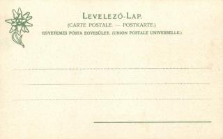 Tátra, Barlangliget, Höhlenhain; Vendéglő és casino; Feitzinger Ede