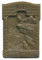 Osztrák-Magyar Monarchia 1915-1917. "Dél-Tiroli Országvédelem" réz sapkajelvény hátoldalon "ENTWURF: H.BERTLE AUSGEF.ATELIER G. GURSCNER WIEN VII/2" gyártói jelzéssel (35x24mm) T:1- Austro-Hungarian Monarchy 1915-1917. "Rayon Süd-Tirol" cap badge with makers mark "ENTWURF: H.BERTLE AUSGEF.ATELIER G. GURSCNER WIEN VII/2" (35x24mm) C:AU